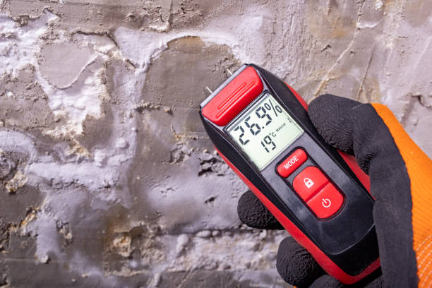 Best Emergency Mold Remediation in Reidville, SC