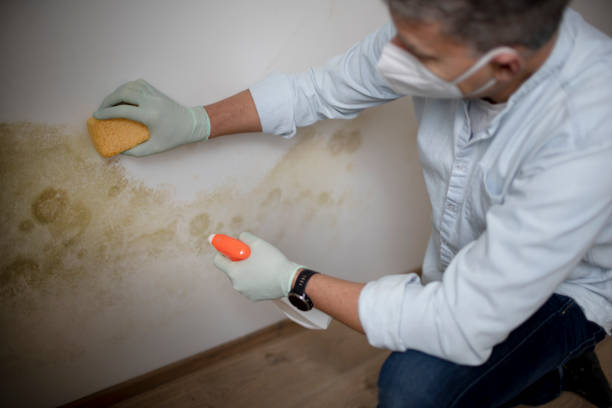 Reidville, SC Mold Remediation Company