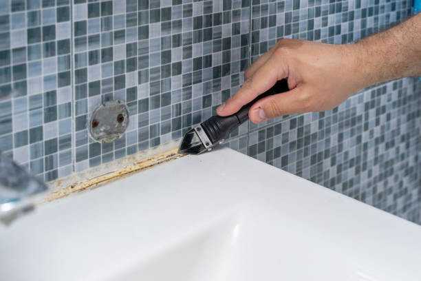 Best Mold Remediation for Specific Building Types in Reidville, SC