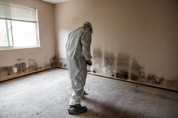 Best Crawl Space Mold Remediation in Reidville, SC